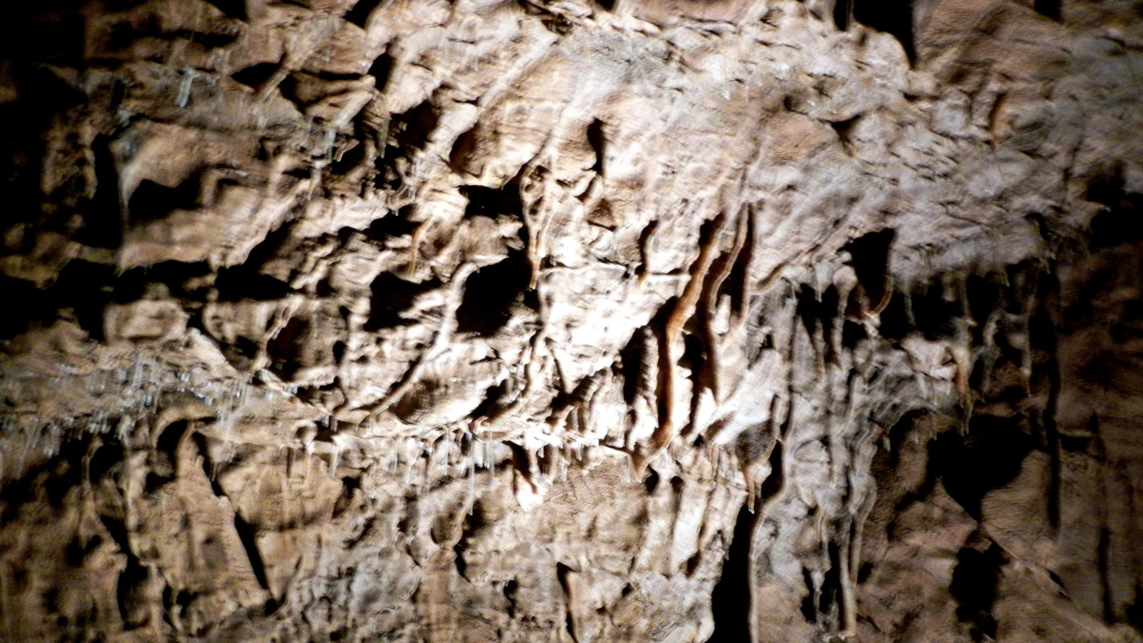 Sinterzapfen in der Lurgrotte bei Peggau, Steiermark — eine der bekanntesten Schauhöhlen Österreichs